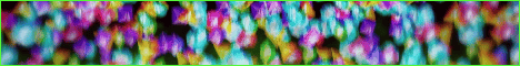 Evergrovesmp Minecraft server banner