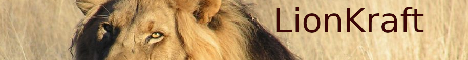 Lionkraft Minecraft server banner