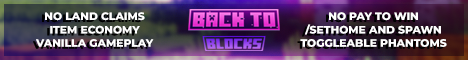 Back To Blocks Minecraft server banner