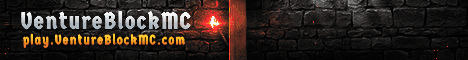 Banner VentureBlock MC