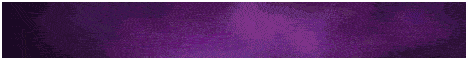 Banner RuinMC