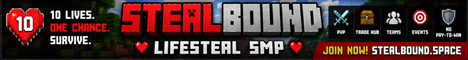 배너 StealBound SMP
