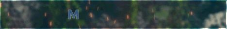 バナー MyEpicServer