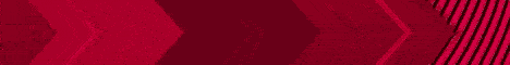 SurvalisMC Minecraft server banner