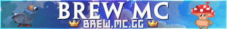 Brew MC Minecraft server banner