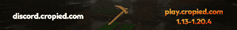 Cropied Minecraft server banner
