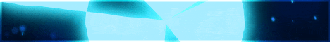 Banner StoneWallMC