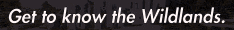 Banner SonoraBuild