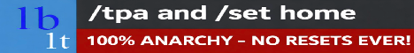 1b1t Minecraft server banner