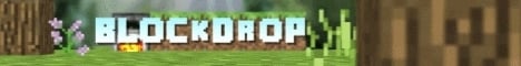 Blockdrop Minecraft server banner