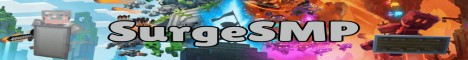 Banner SurgeSMP