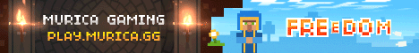 Murica Gaming Minecraft server banner