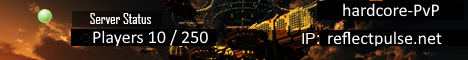 ReflectPulseSMP Minecraft server banner