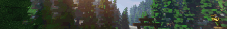 Banner Rokucraft