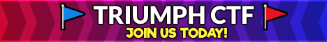 TriumphMC Minecraft server banner