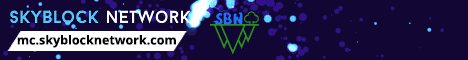 Banner SkyBlock Network