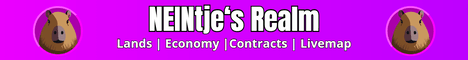 NEINtjes Realm Minecraft server banner