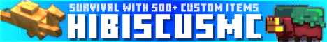 HibiscusMC Minecraft server banner