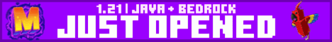 MetroMC Minecraft server banner