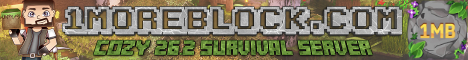 Banner 1MoreBlock.com