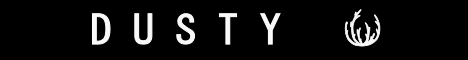 Banner Dusty Hub
