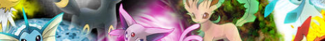 Banner Pixel Society