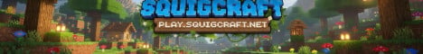 Banner SquigCraft