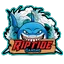 RIPTIDE.GG Minecraft server icon