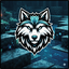 ToobleNetwork