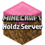 HOLDz Minecraft server icon
