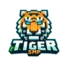 TigerSmp Minecraft server icon