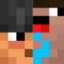 LLD SMP Minecraft server icon
