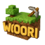 Woori ON 서버 Minecraft server icon