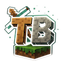 TerraBlocks Minecraft server icon