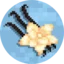 PlayVanilla Minecraft server icon