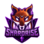 ShardRise