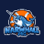 NarwHall MC Minecraft server icon