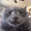 Internal SMP Minecraft server icon