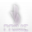 Prime Network Minecraft server icon