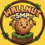 WallnutSmp Minecraft server icon