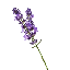 LavenderMC Minecraft server icon
