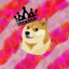 DogeSMP Modded Minecraft server icon