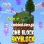 One Block Skyblock Minecraft server icon