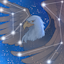 AquilaPvP Minecraft server icon