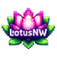 LotusNW Minecraft server icon