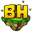 BeeHollow Minecraft server icon