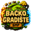 Bačko Gradište SMP Minecraft server icon