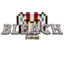 Bleach Evolved Minecraft server icon