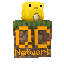 QuackCraft SMP Minecraft server icon