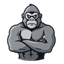 GORİLLAMC Minecraft server icon